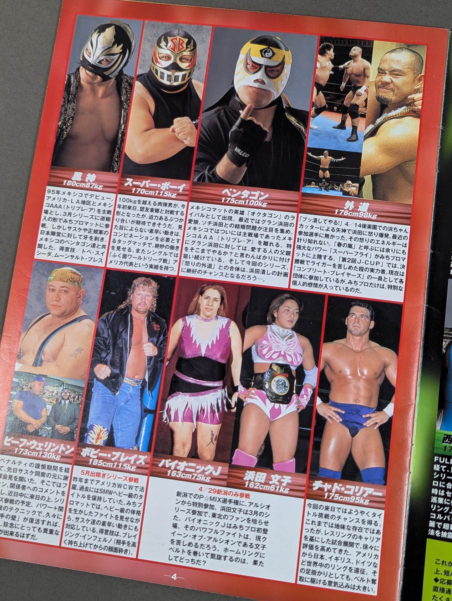 Michinoku Pro Wrestling  Official Brochure Vol.61