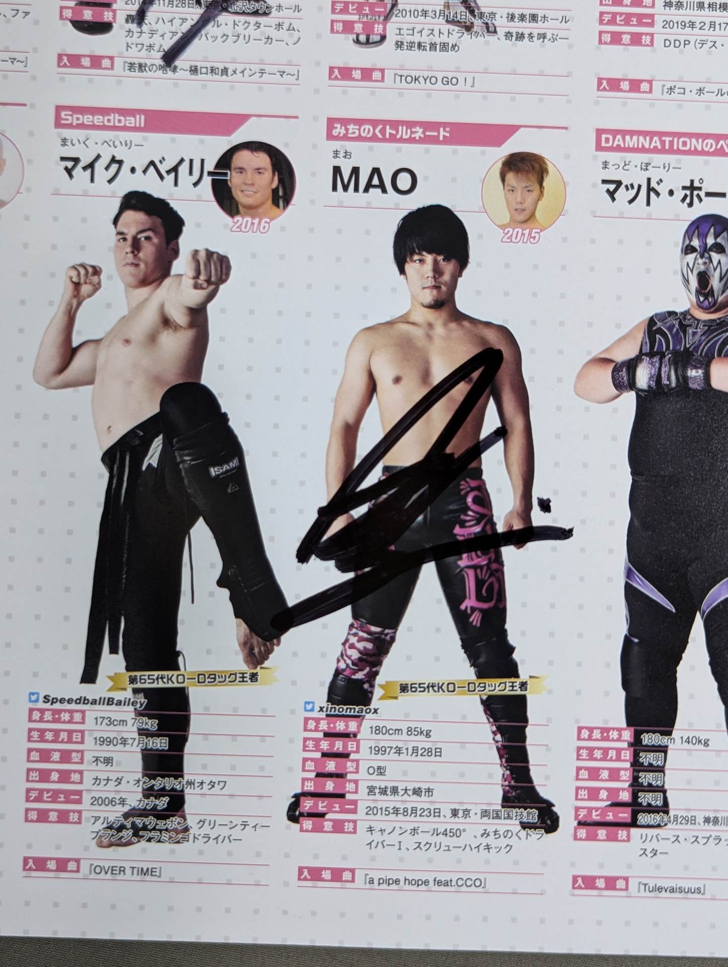 [9 fighters hand signed autograph DDT Official Program March 2019 Vol.62