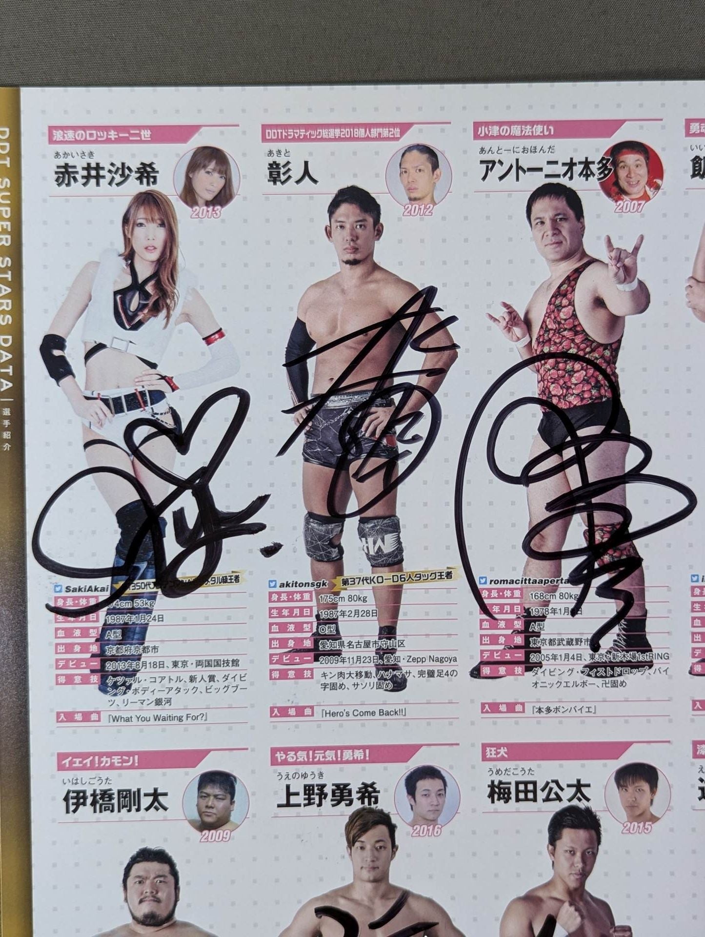 [13 fighters hand signed autograph DDT Official Program March 2019 Vol.62