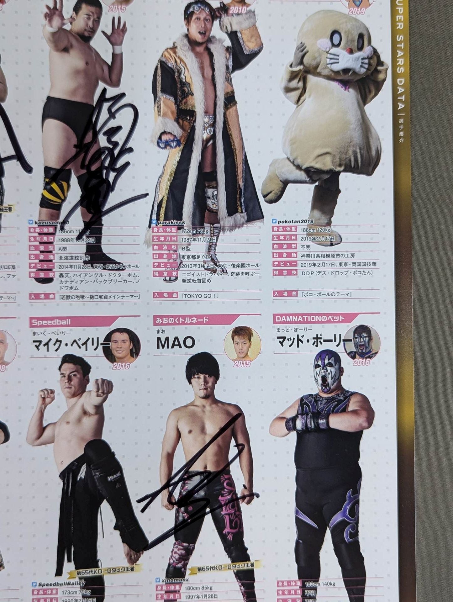 [13 fighters hand signed autograph DDT Official Program March 2019 Vol.62