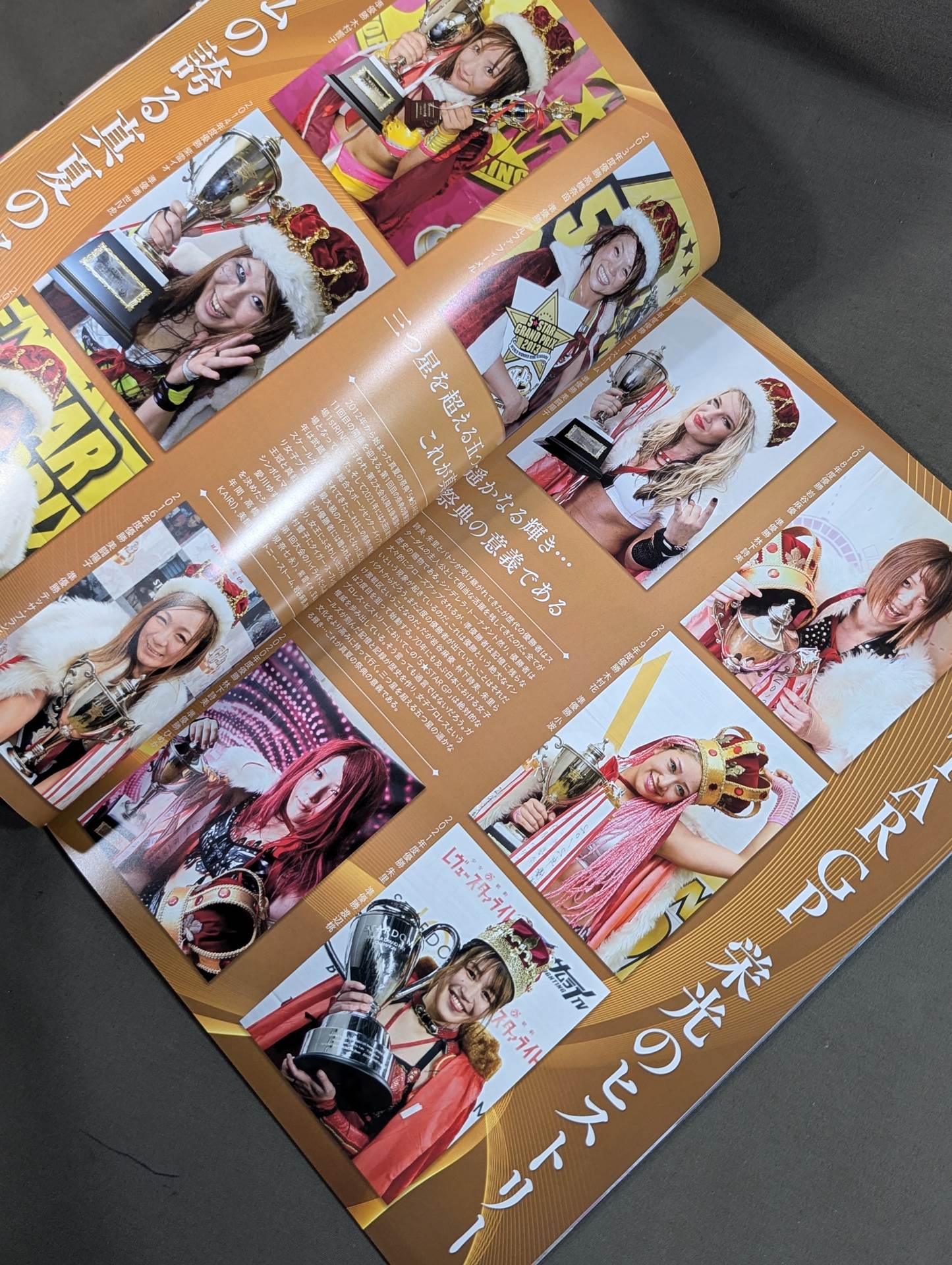 STARDOM OFFICIAL GUIDE BOOK Vol.143