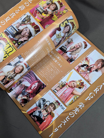 STARDOM OFFICIAL GUIDE BOOK Vol.143