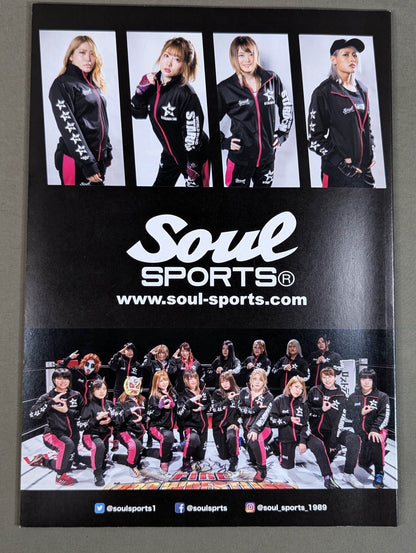 STARDOM OFFICIAL GUIDE BOOK Vol.131