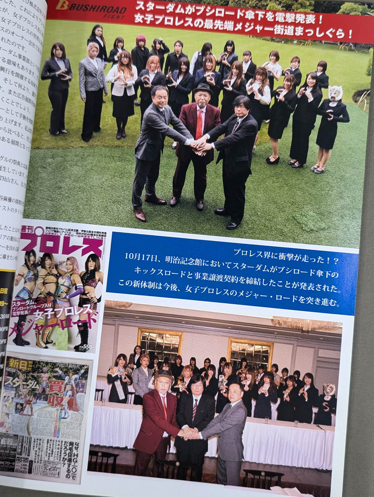 STARDOM OFFICIAL GUIDE BOOK Vol.128