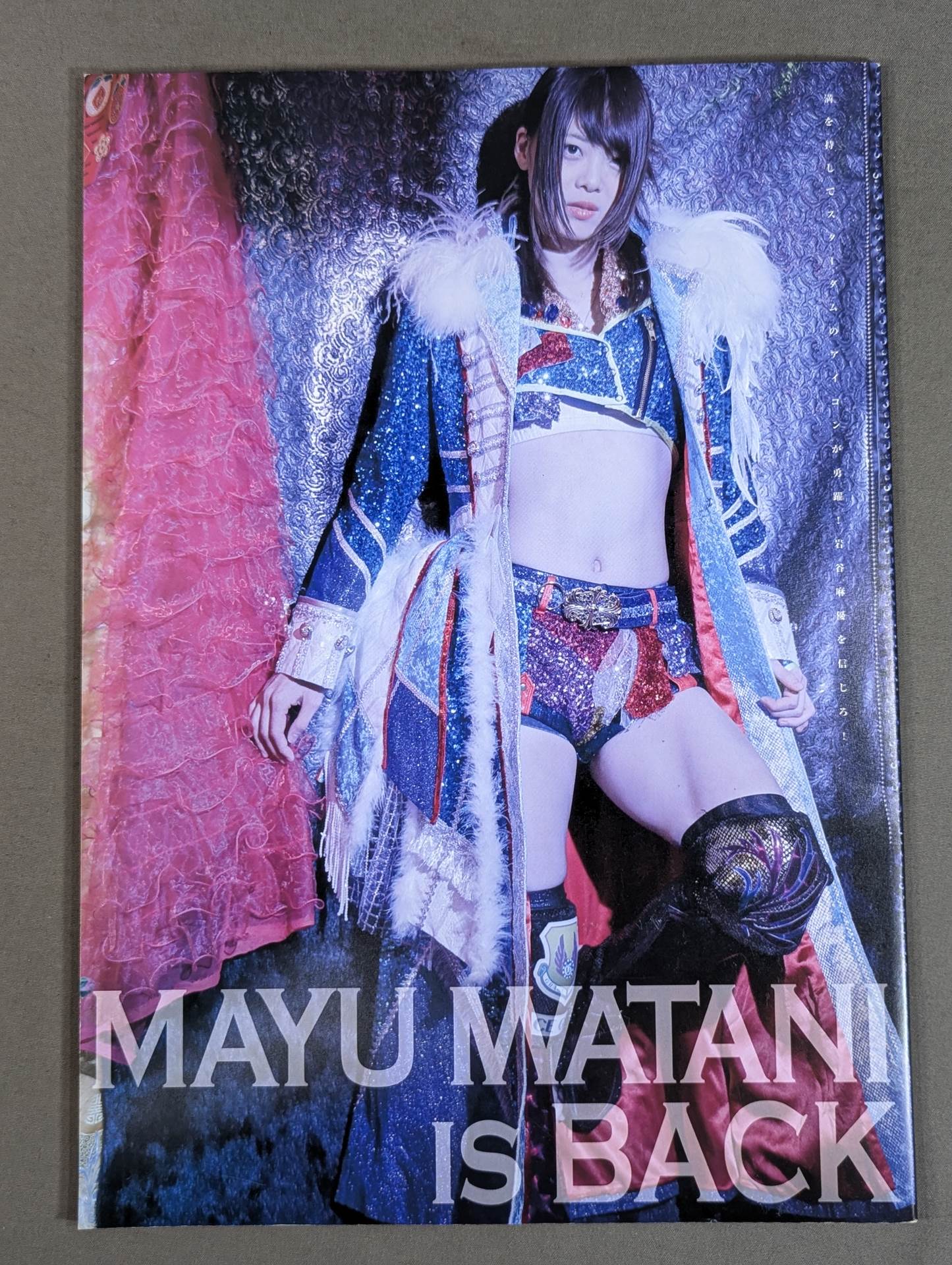 STARDOM OFFICIAL GUIDE BOOK Vol.128