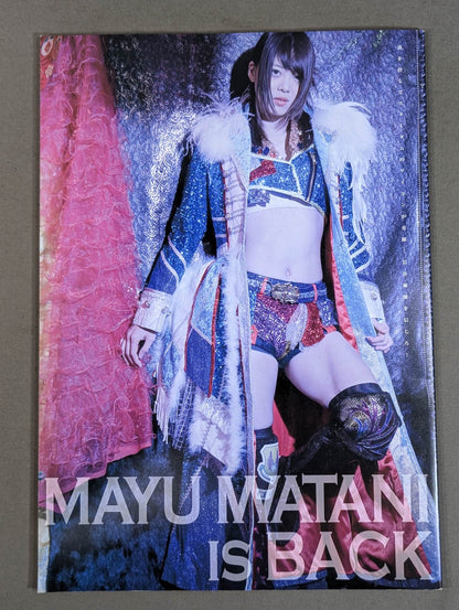 STARDOM OFFICIAL GUIDE BOOK Vol.128