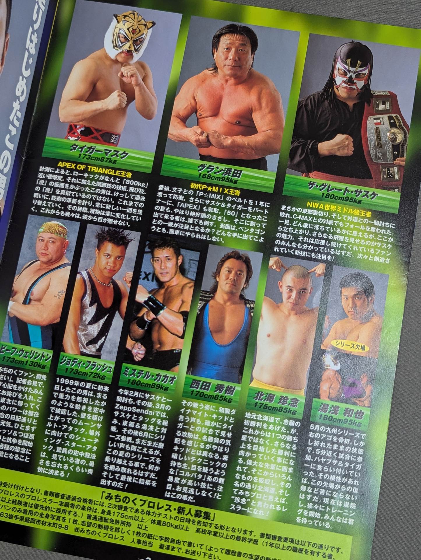 Michinoku Pro Wrestling  Official Brochure Vol.62
