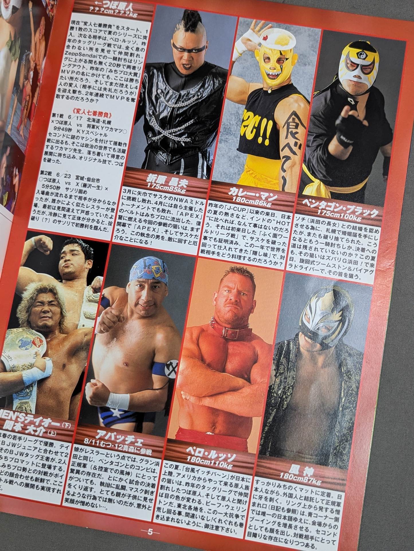 Michinoku Pro Wrestling  Official Brochure Vol.62