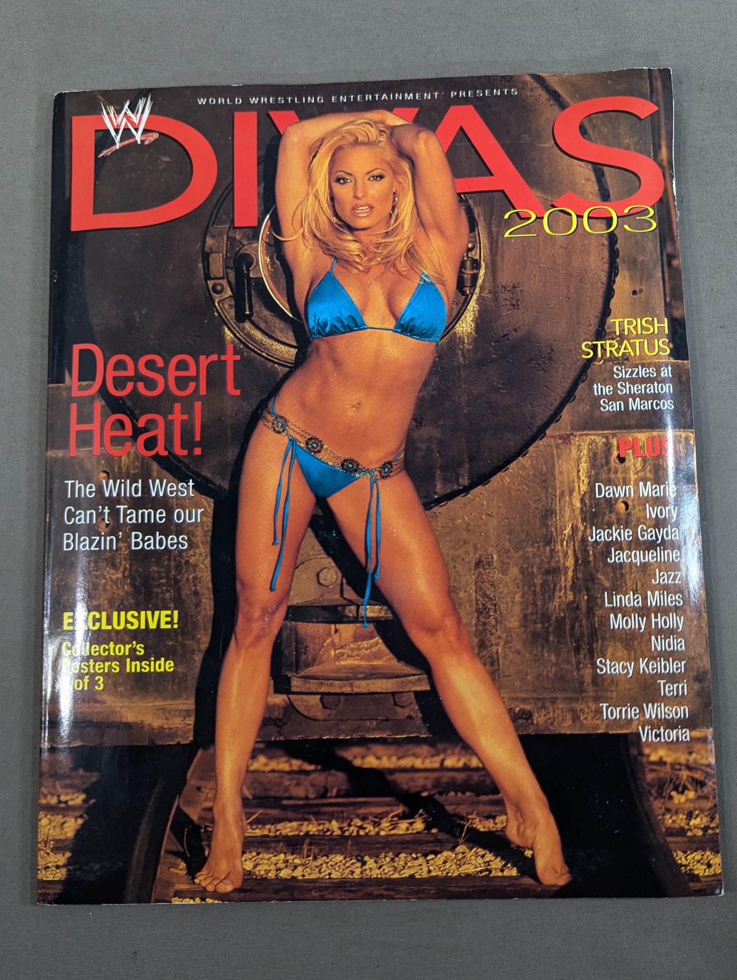 WWE DIVAS 2003