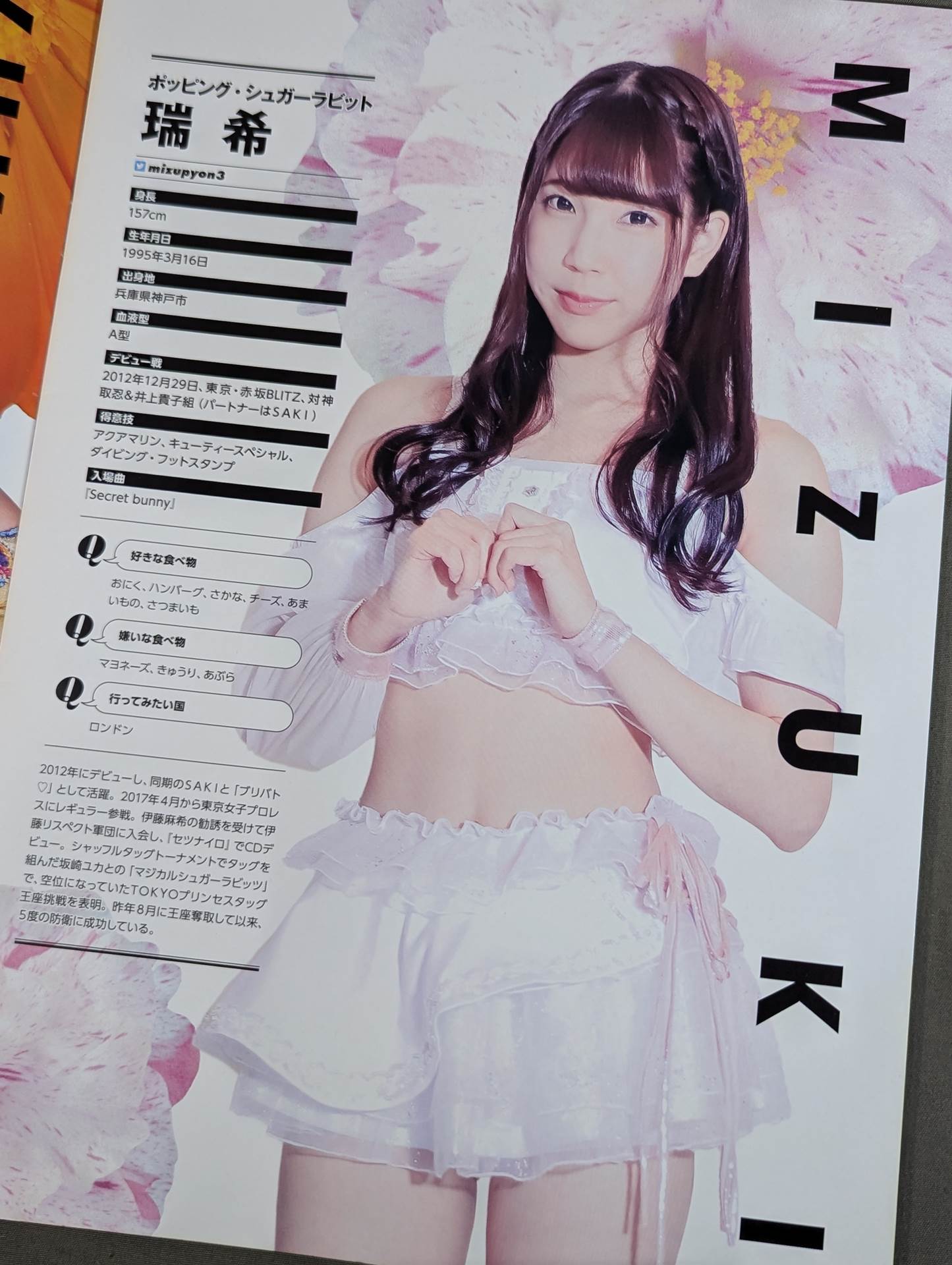 東京女子プロレス オフィシャルプログラム TJPW Vol.8
