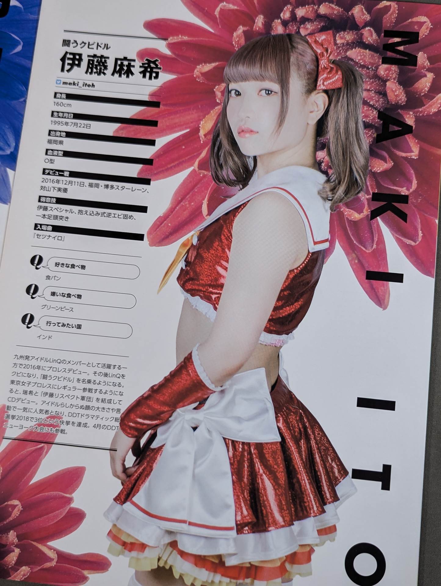 東京女子プロレス オフィシャルプログラム TJPW Vol.8