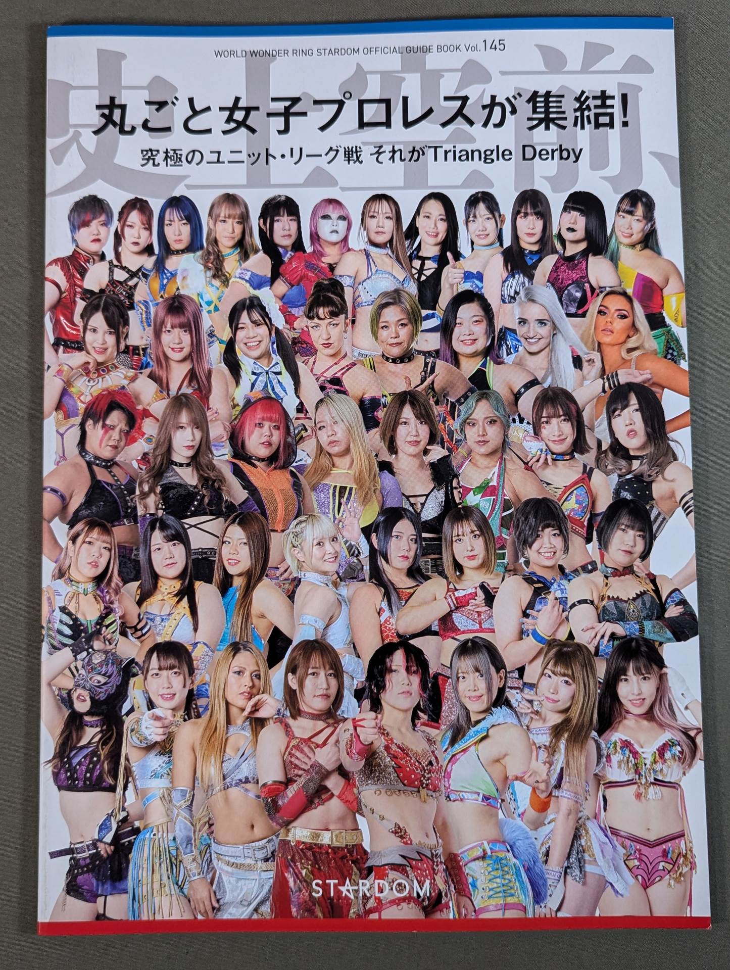 STARDOM OFFICIAL GUIDE BOOK Vol.145