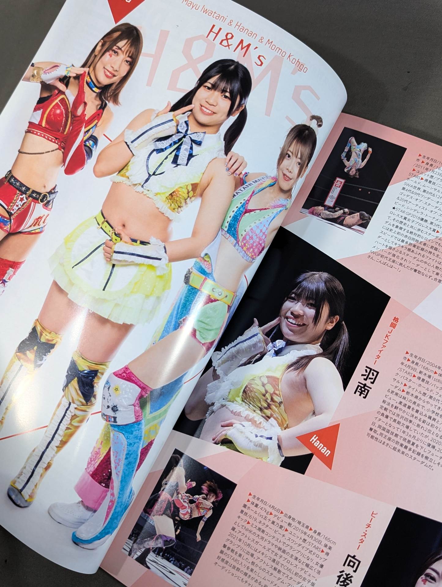 STARDOM OFFICIAL GUIDE BOOK Vol.145
