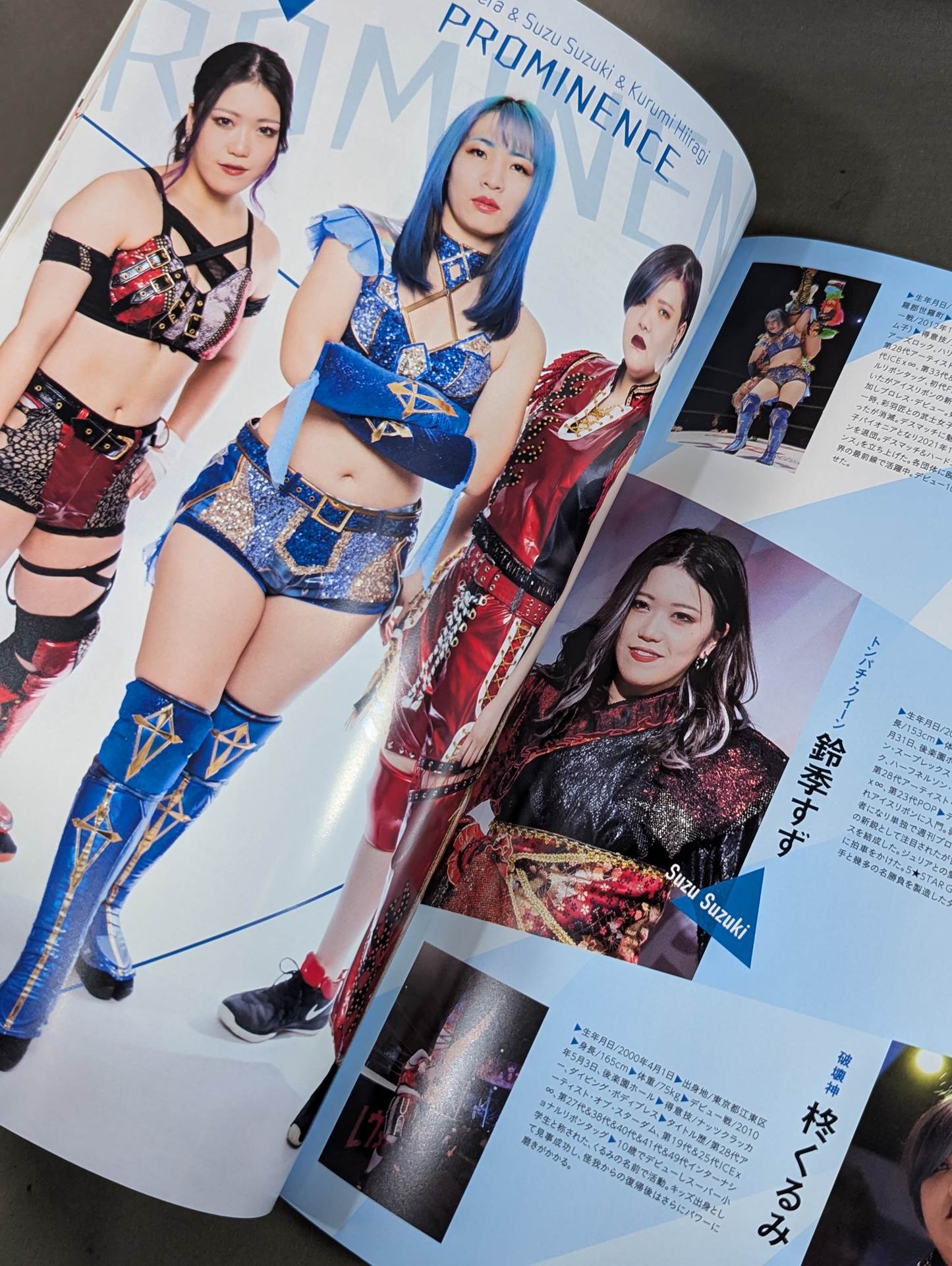 STARDOM OFFICIAL GUIDE BOOK Vol.145