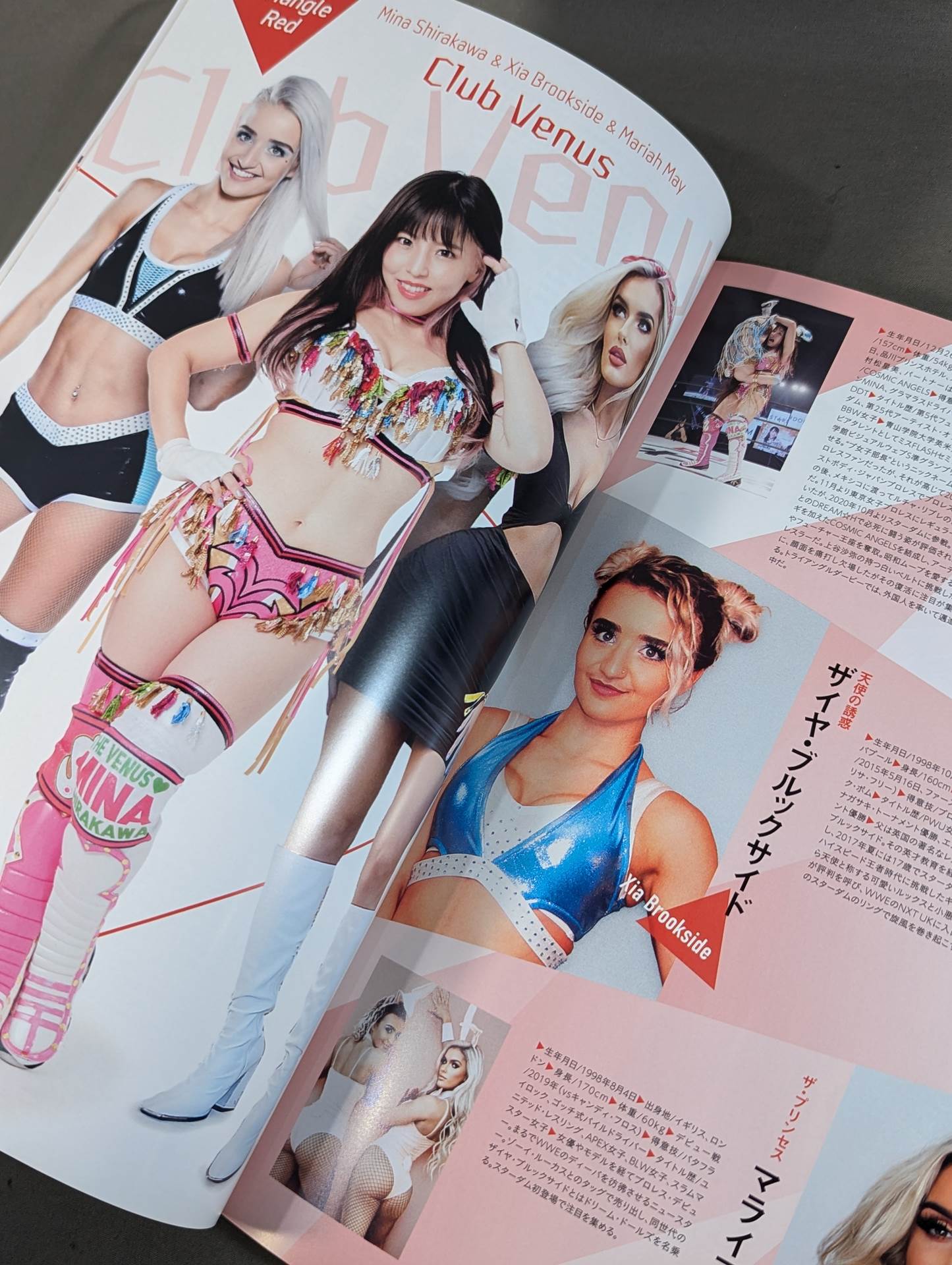 STARDOM OFFICIAL GUIDE BOOK Vol.145