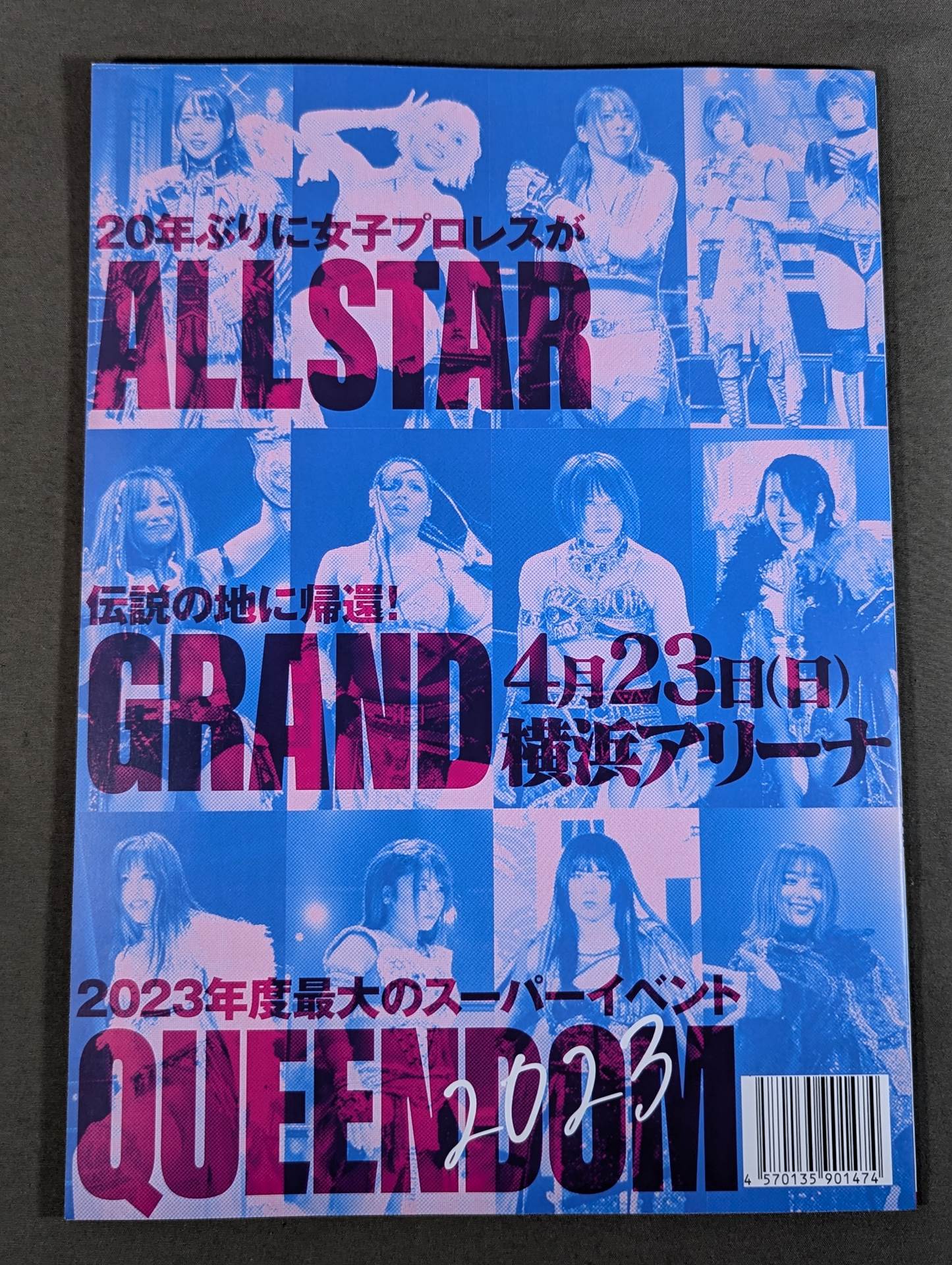 STARDOM OFFICIAL GUIDE BOOK Vol.145