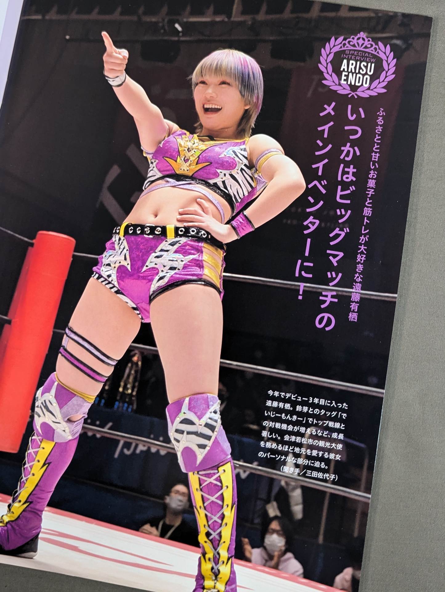 東京女子プロレス オフィシャルプログラム TJPW Vol.19