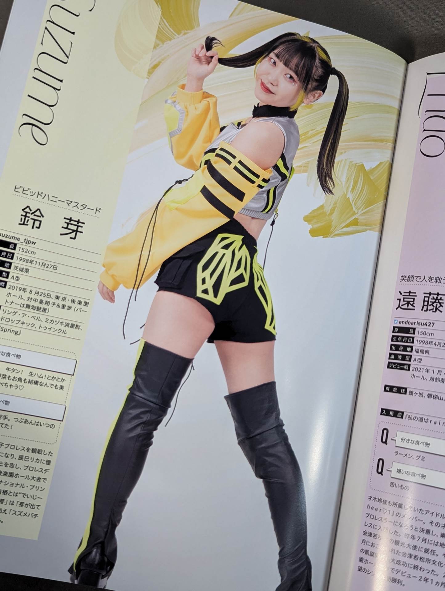 東京女子プロレス オフィシャルプログラム TJPW Vol.19