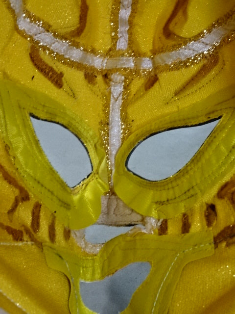 The first Tiger Mask