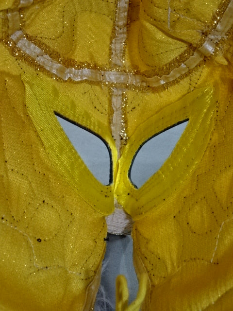 The first Tiger Mask