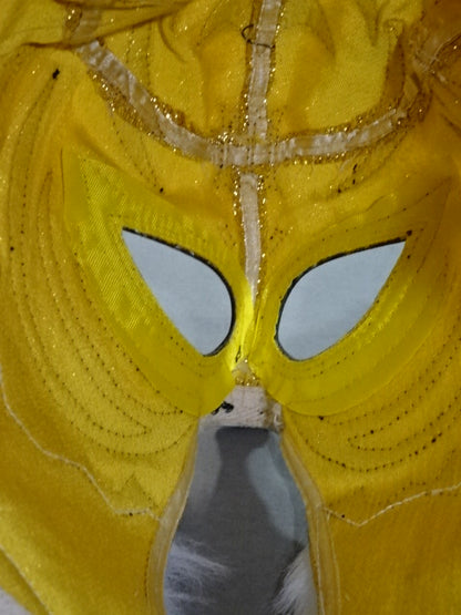 The first Tiger Mask