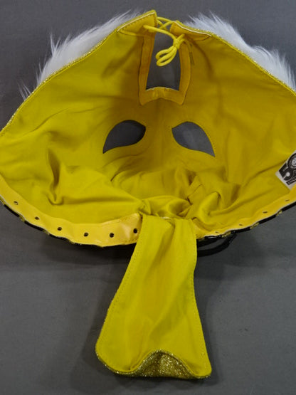 The first Tiger Mask