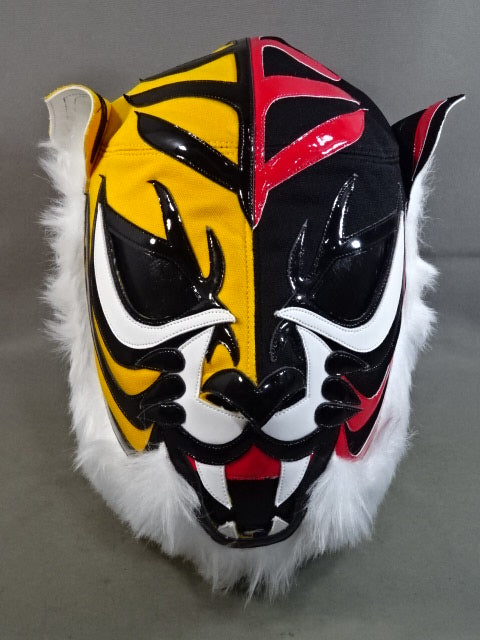 Tiger Mask W (Naoto Higashi and Takuma Fujii)