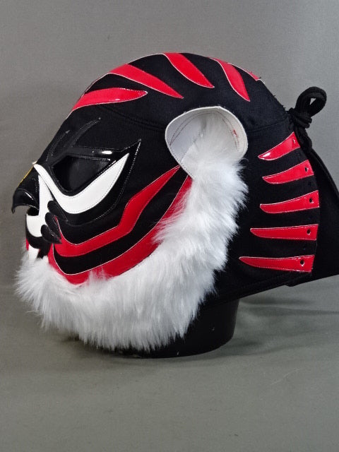Tiger Mask W (Naoto Higashi and Takuma Fujii)