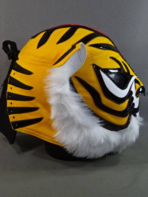 Tiger Mask W (Naoto Higashi and Takuma Fujii)