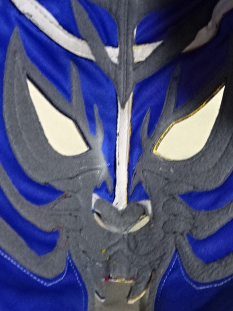 Tiger Mask W (Naoto Higashi and Takuma Fujii)