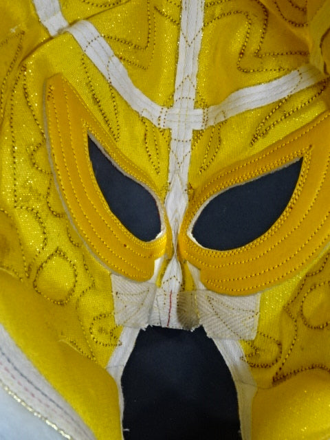 The first Tiger Mask