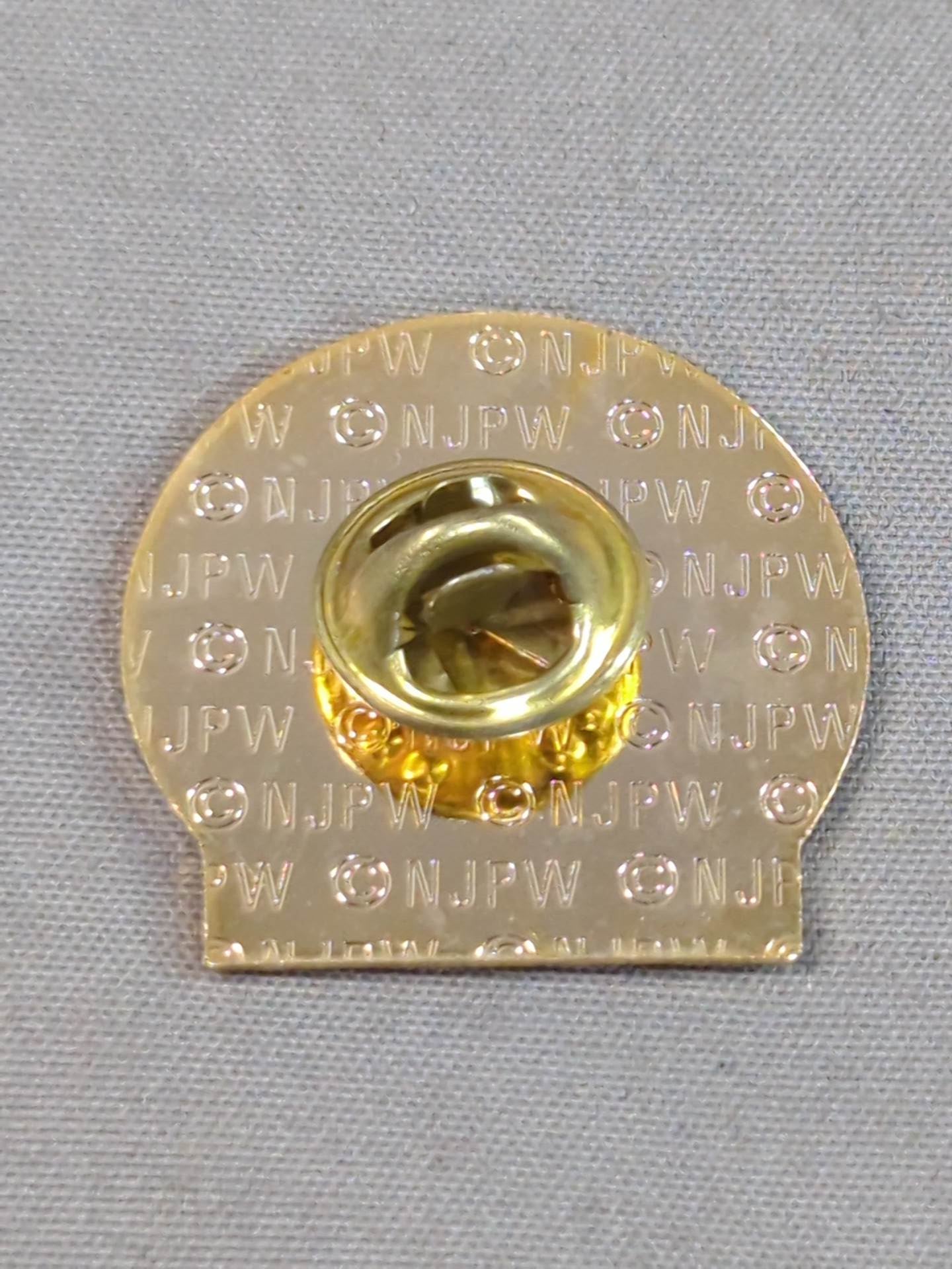 Shinya Hashimoto  PINS 