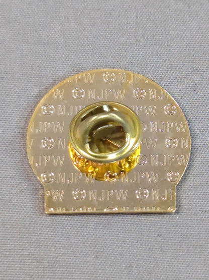 Shinya Hashimoto  PINS 