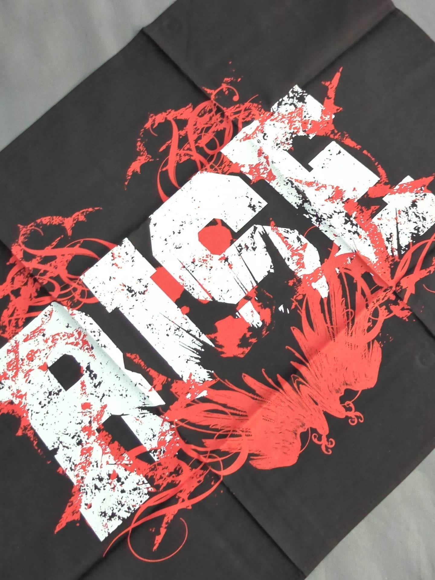 RISE フラッグ