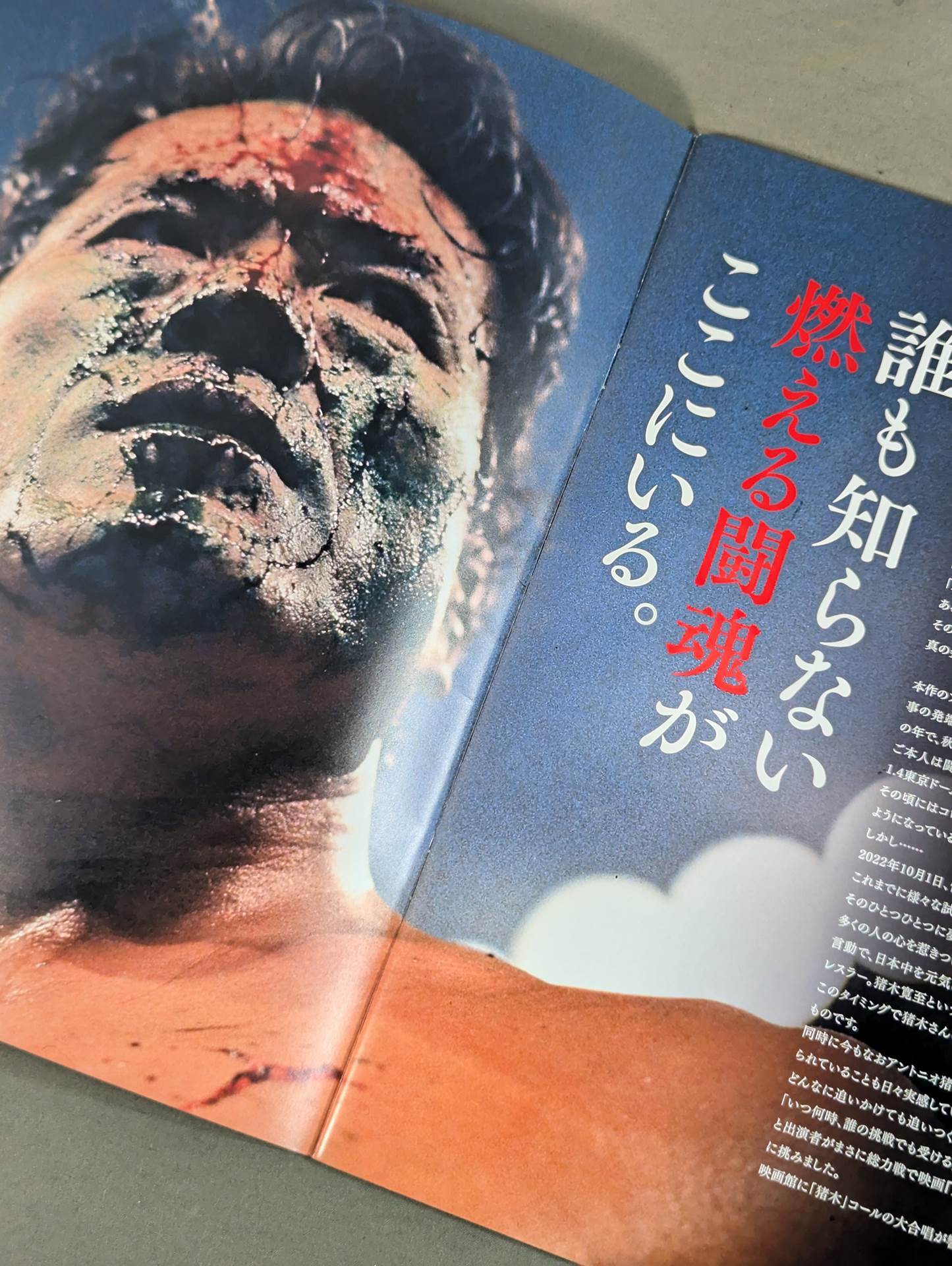 Finding Antonio Inoki 