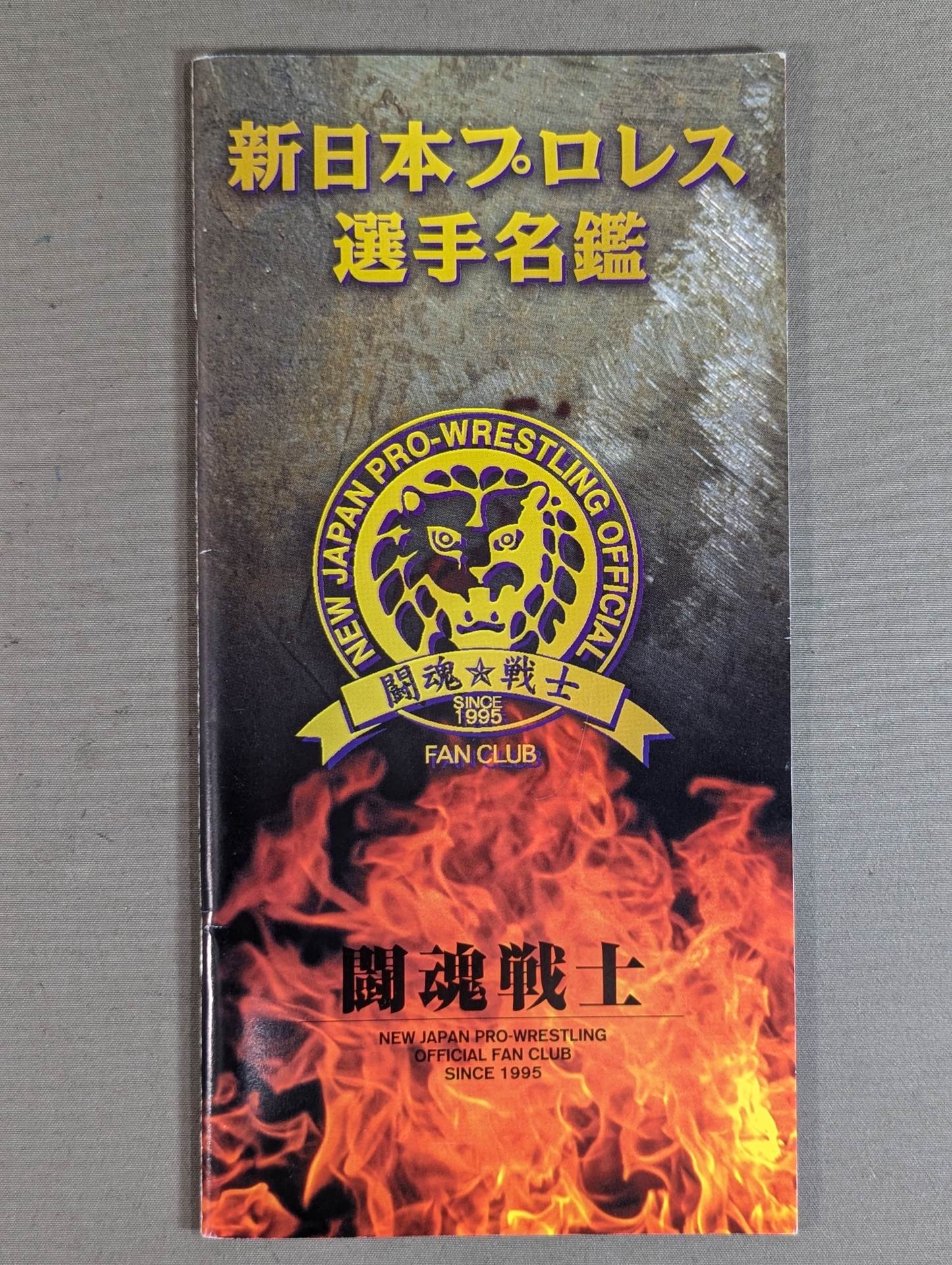 Fighting Spirit Warrior 1995 New Japan Pro Wrestling fighters directory