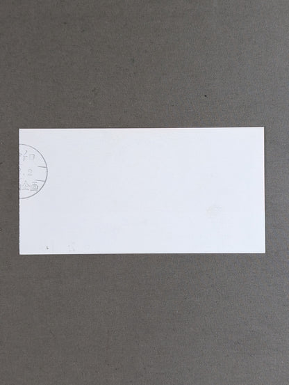 Ringstar Super Slam '89