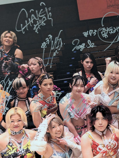 ★ All 23 fighters hand signed autograph ★ Marigold photo panel