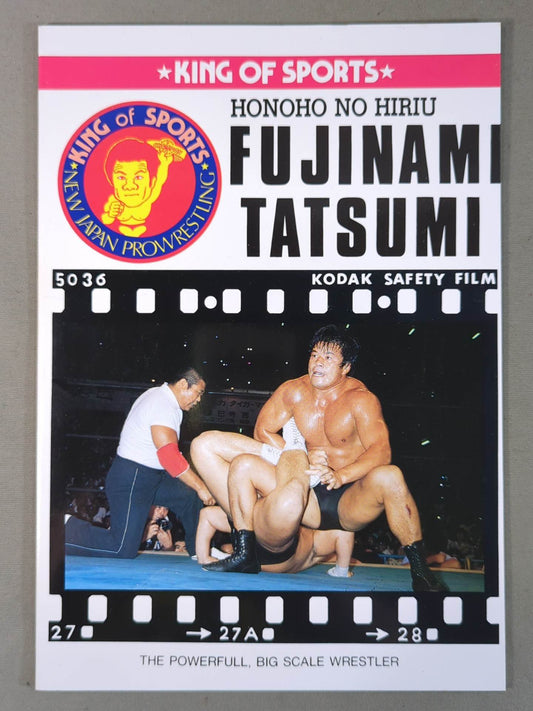 藤波辰巳 ノート