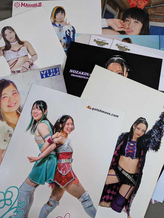 女子プロレス ポートレート  29枚セット