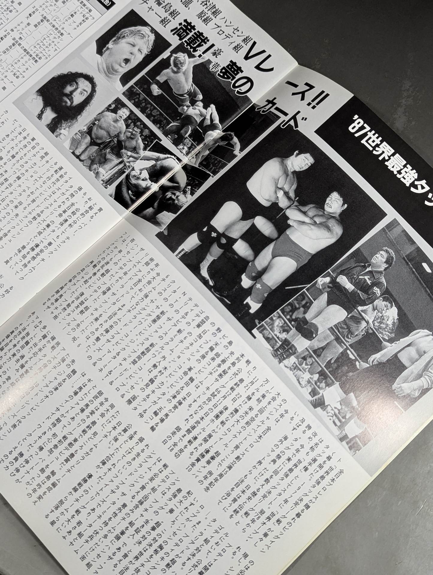 87世界最強タッグ決定リーグ戦 – 闘道館