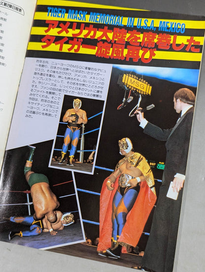 THE WRESTLER Big Fight Series Vol.2 Vol.16