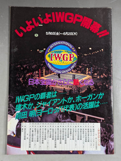 THE WRESTLER Big Fight Series Vol.2 Vol.16