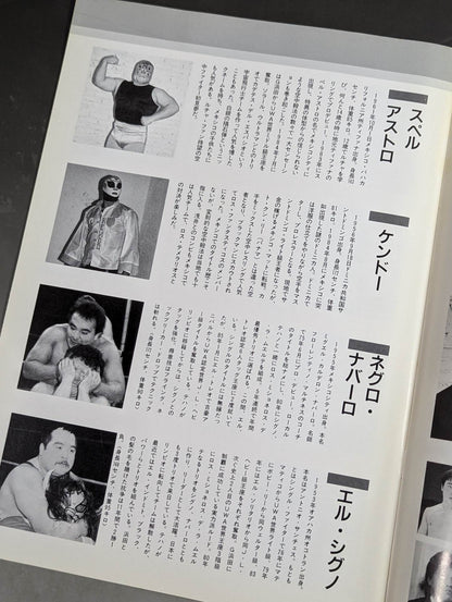 LUCHA MANIA No.2 (Vol.2)