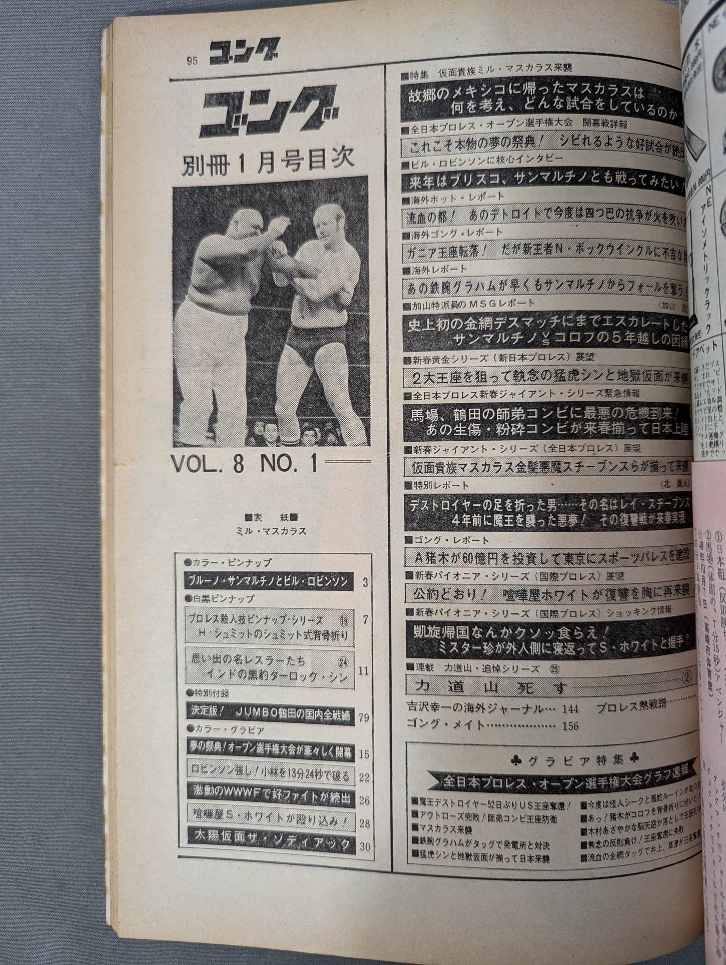 別冊ゴングVol.8 No.1 – 闘道館