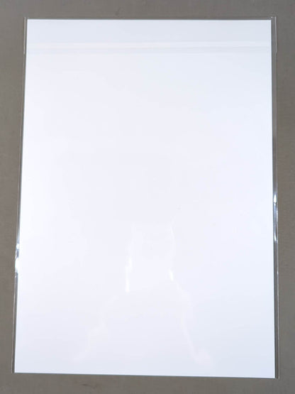 Mina Shirakawa  Stardom ×TOWER RECORDS  Pro-Photo  2022