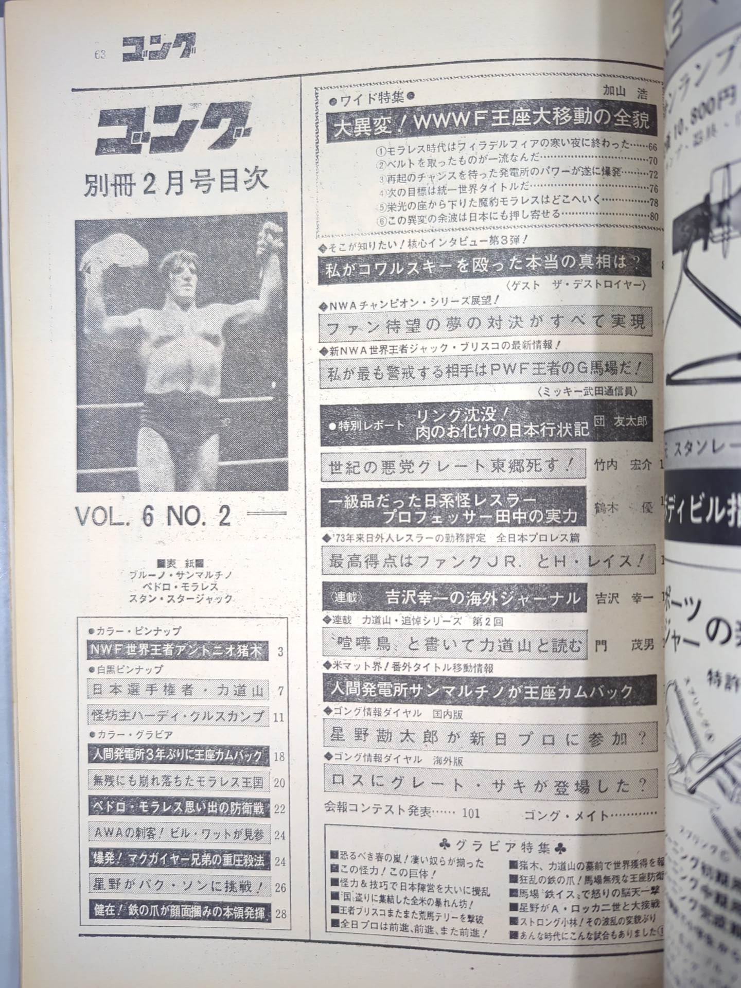 別冊ゴングVol.6 No.2 – 闘道館