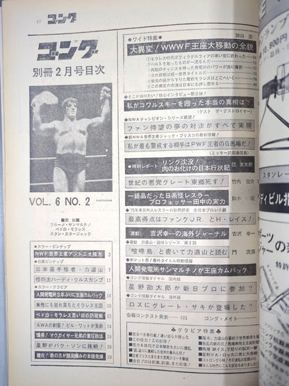 別冊ゴングVol.6 No.2
