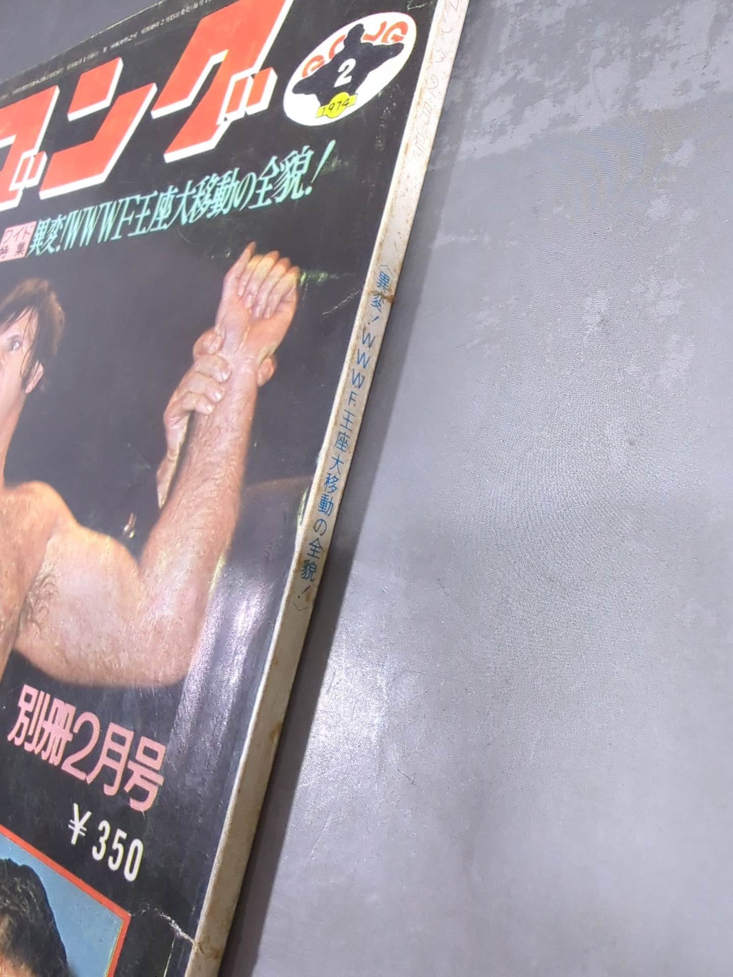 別冊ゴングVol.6 No.2 – 闘道館