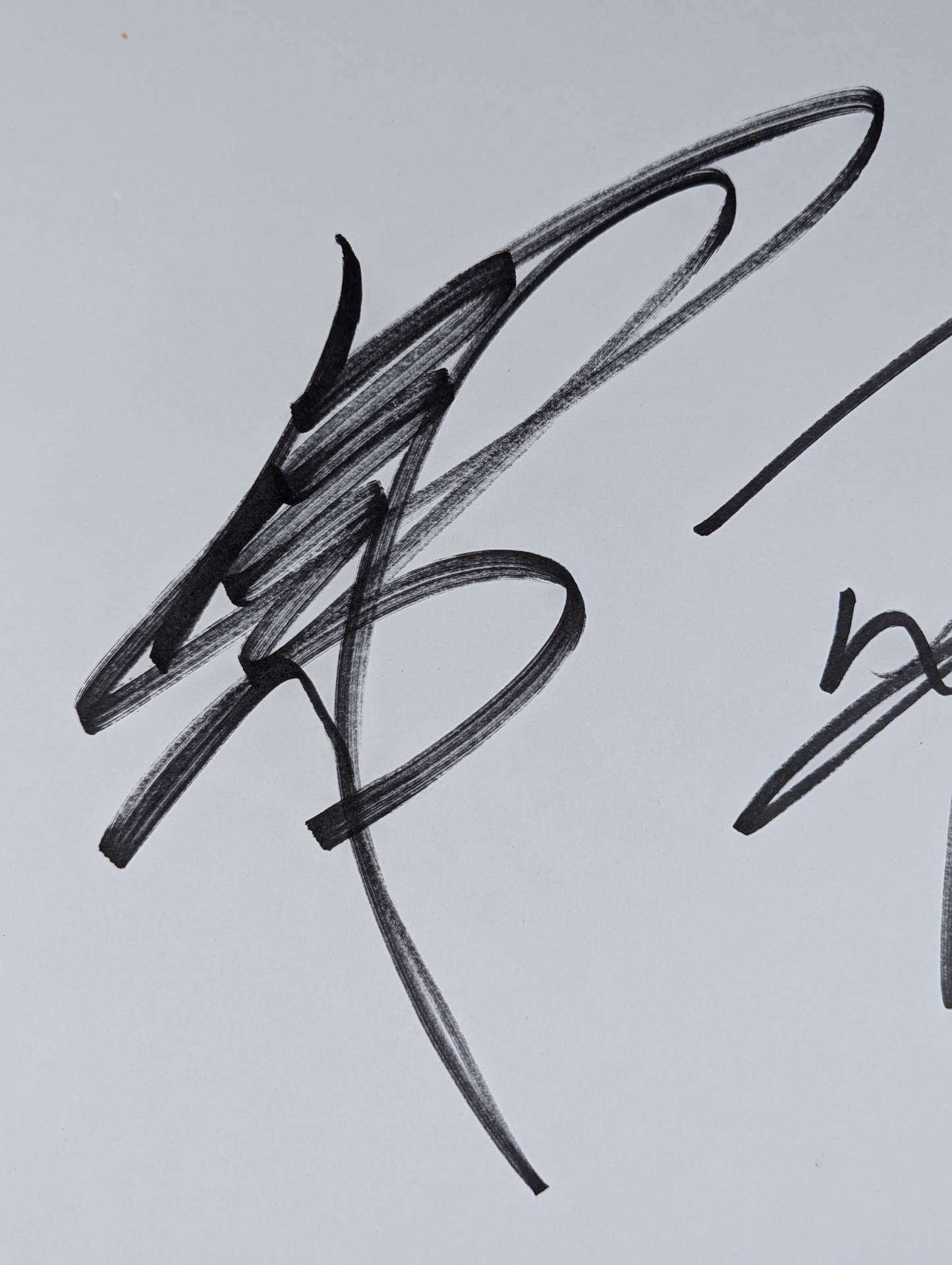 武藤敬司＆蝶野正洋